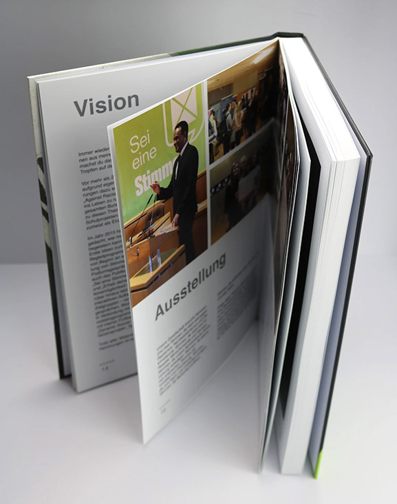 alsterinfo